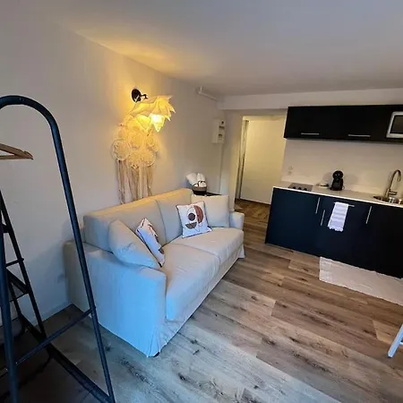 Apartment Avec Jardin Straßburg