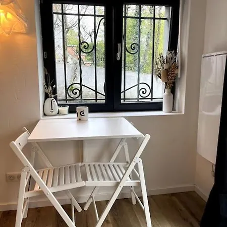 Avec Jardin Appartement Strasbourg